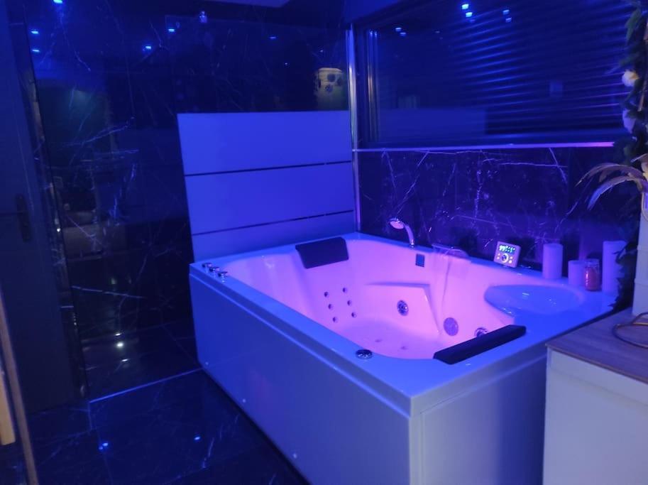 Sauna, Jacuzzi, Terrasse Et Parking Apartment Rouen